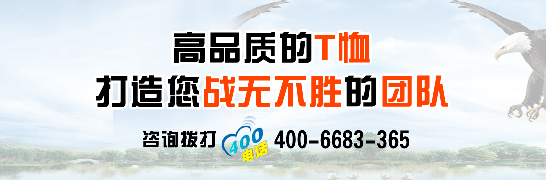 t恤衫1522-5(图14)